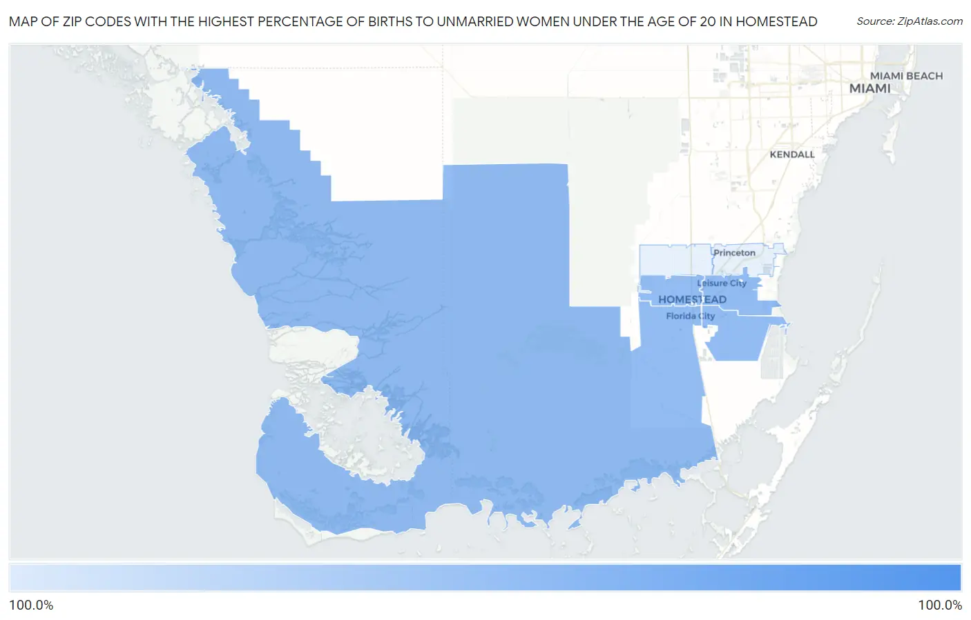 Zip Codes with the Highest Percentage of Births to Unmarried Women under the Age of 20 in Homestead Map