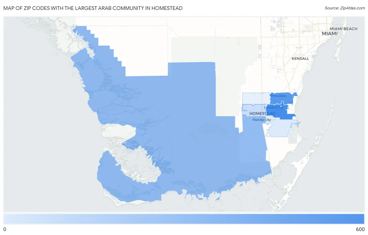 Zip Codes with the Largest Arab Community in Homestead Map