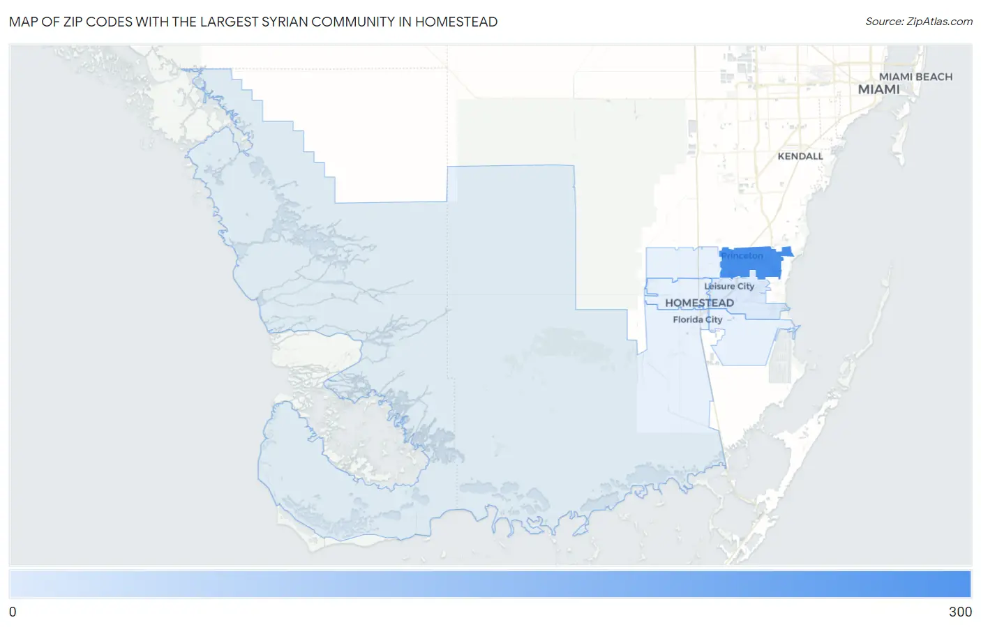 Zip Codes with the Largest Syrian Community in Homestead Map