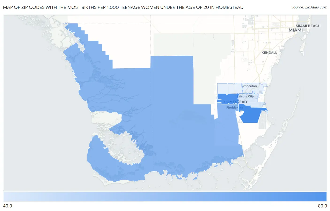 Zip Codes with the Most Births per 1,000 Teenage Women Under the Age of 20 in Homestead Map