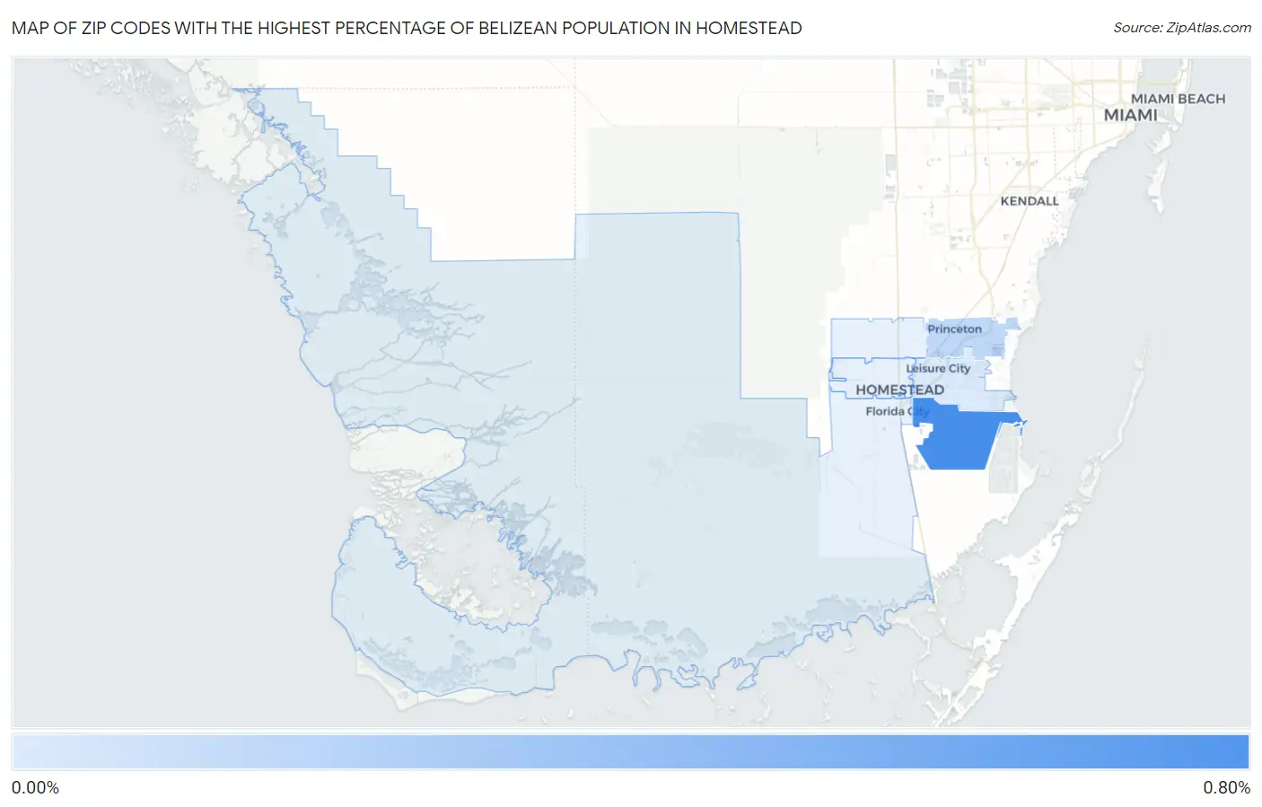 Zip Codes with the Highest Percentage of Belizean Population in Homestead Map