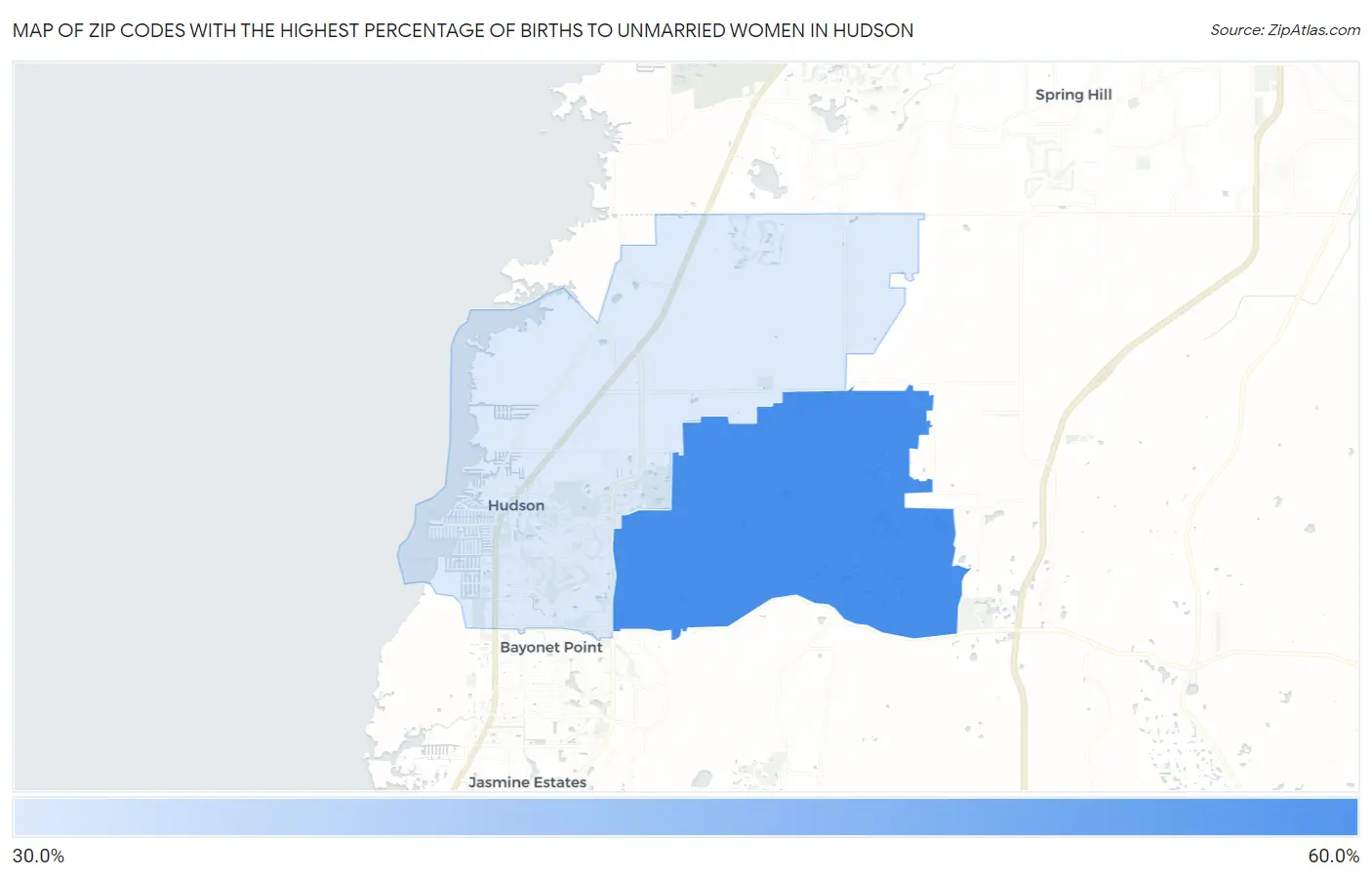 Zip Codes with the Highest Percentage of Births to Unmarried Women in Hudson Map