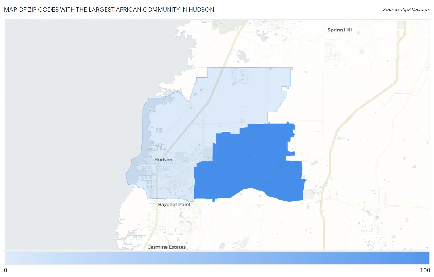 Zip Codes with the Largest African Community in Hudson Map