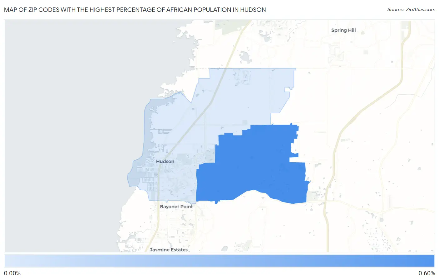 Zip Codes with the Highest Percentage of African Population in Hudson Map