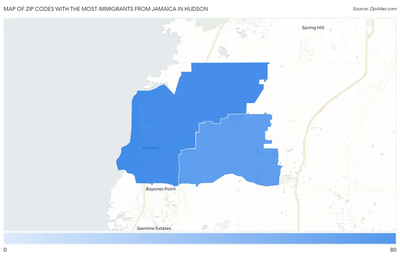 Zip Codes with the Most Immigrants from Jamaica in Hudson Map