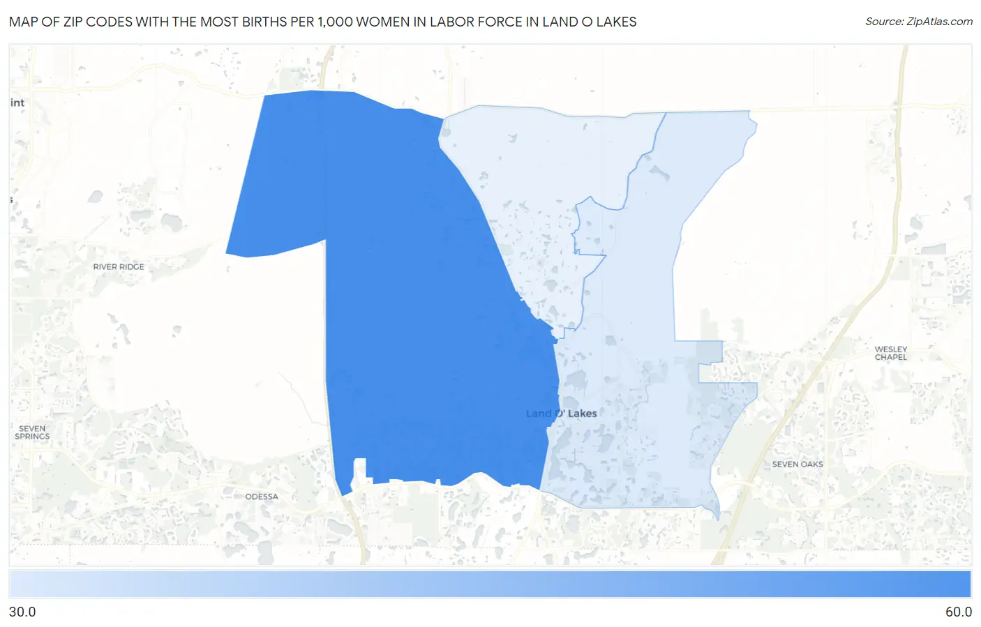 Zip Codes with the Most Births per 1,000 Women in Labor Force in Land O Lakes Map