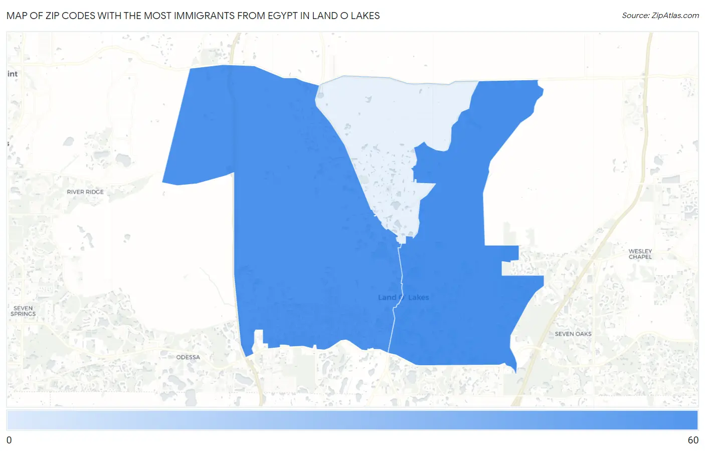 Zip Codes with the Most Immigrants from Egypt in Land O Lakes Map