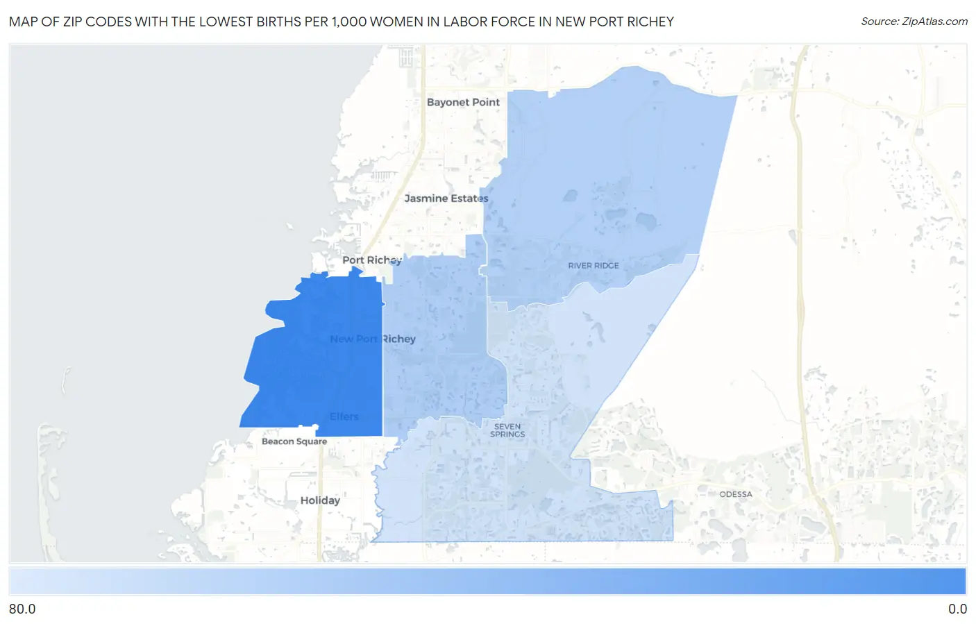 Zip Codes with the Lowest Births per 1,000 Women in Labor Force in New Port Richey Map
