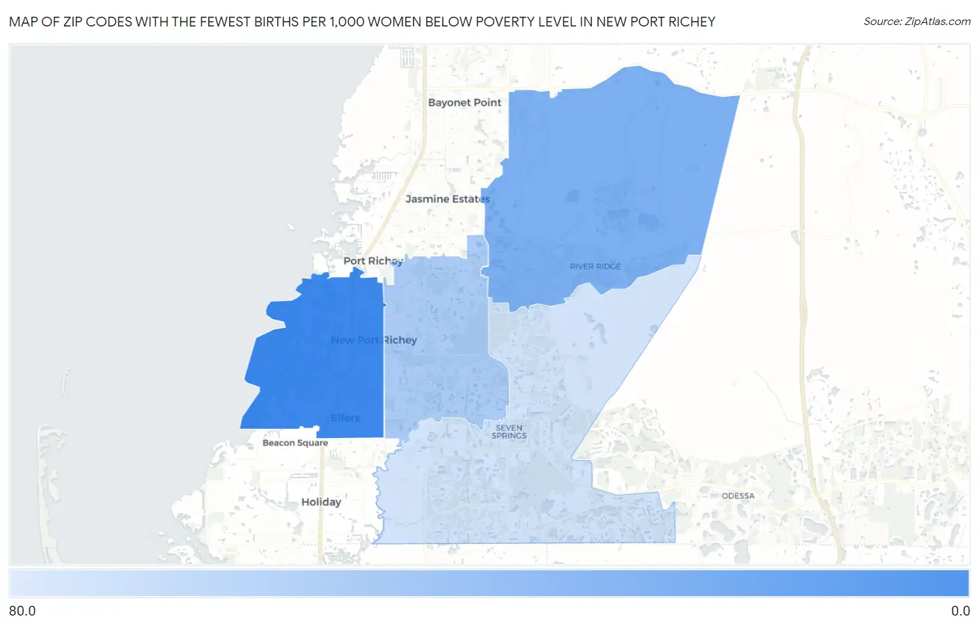 Zip Codes with the Fewest Births per 1,000 Women Below Poverty Level in New Port Richey Map