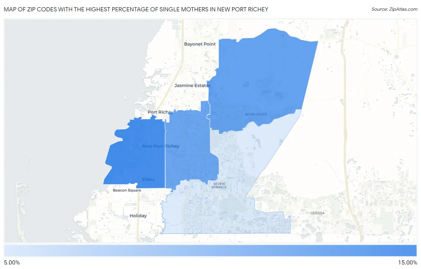 Zip Codes with the Highest Percentage of Single Mothers in New Port Richey Map