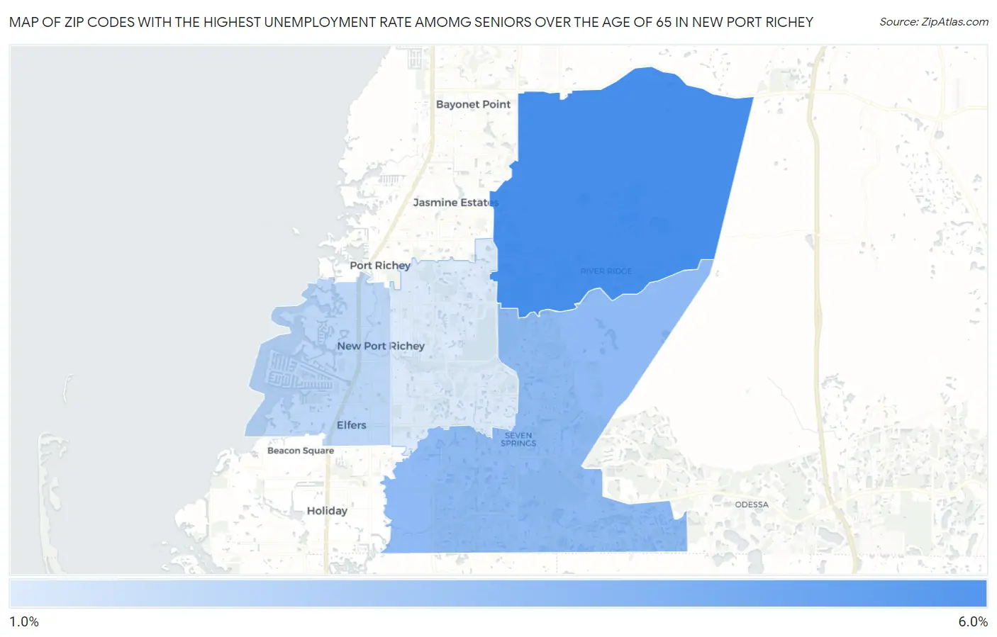 Zip Codes with the Highest Unemployment Rate Amomg Seniors Over the Age of 65 in New Port Richey Map