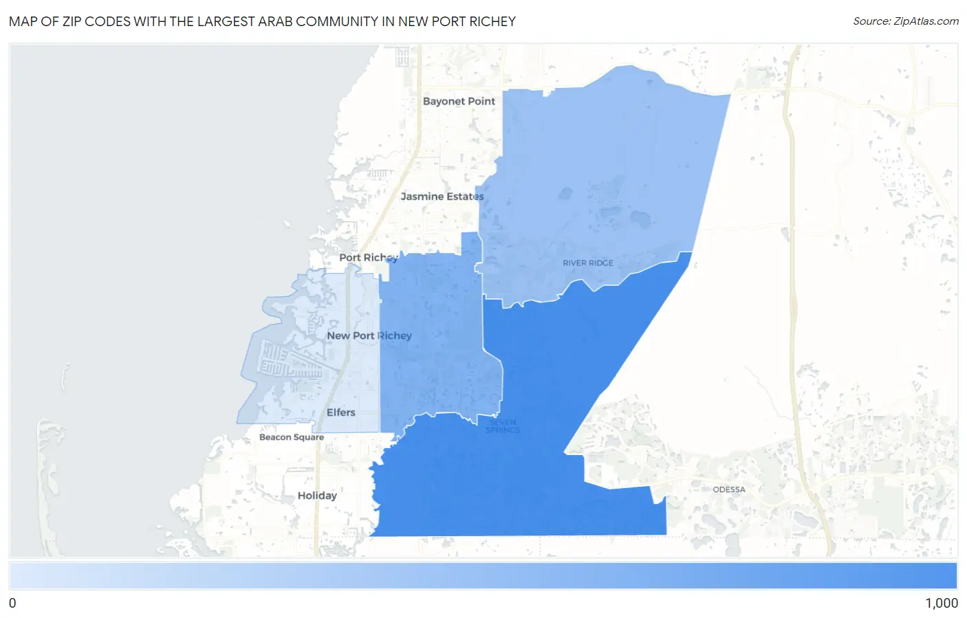 Zip Codes with the Largest Arab Community in New Port Richey Map