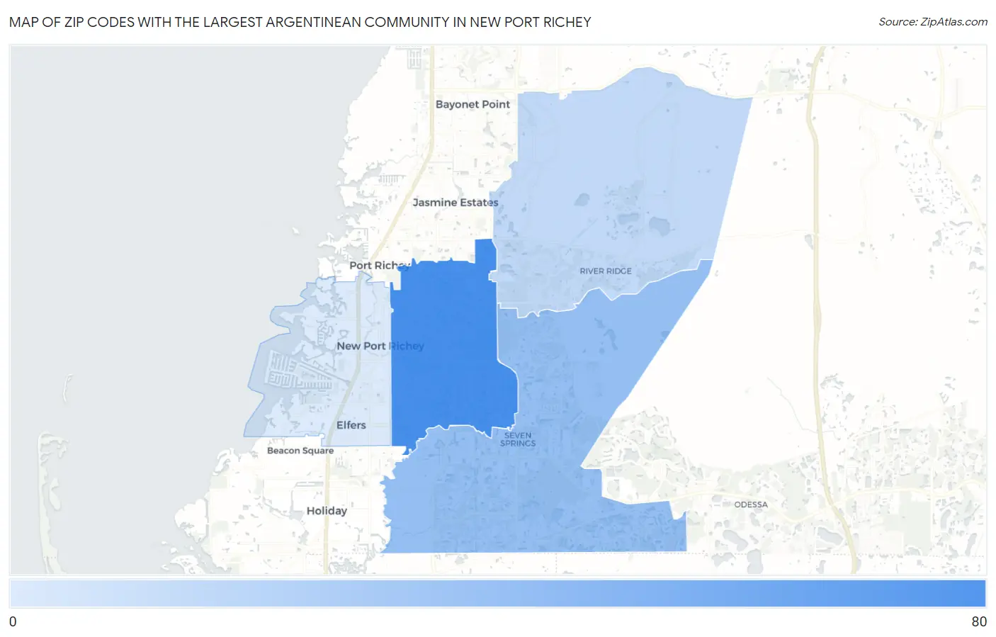 Zip Codes with the Largest Argentinean Community in New Port Richey Map