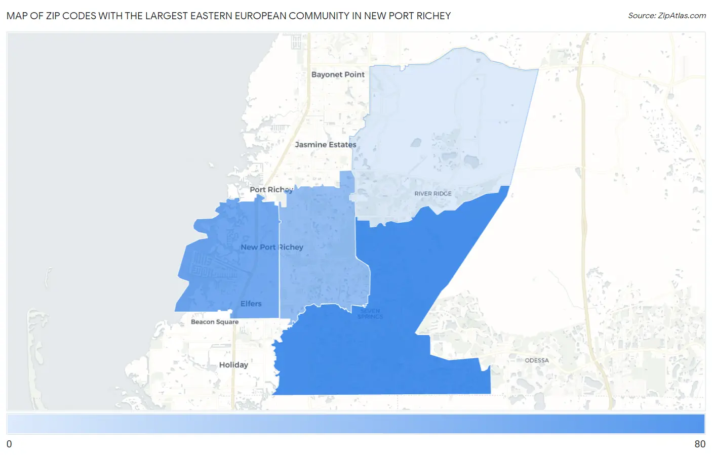 Zip Codes with the Largest Eastern European Community in New Port Richey Map