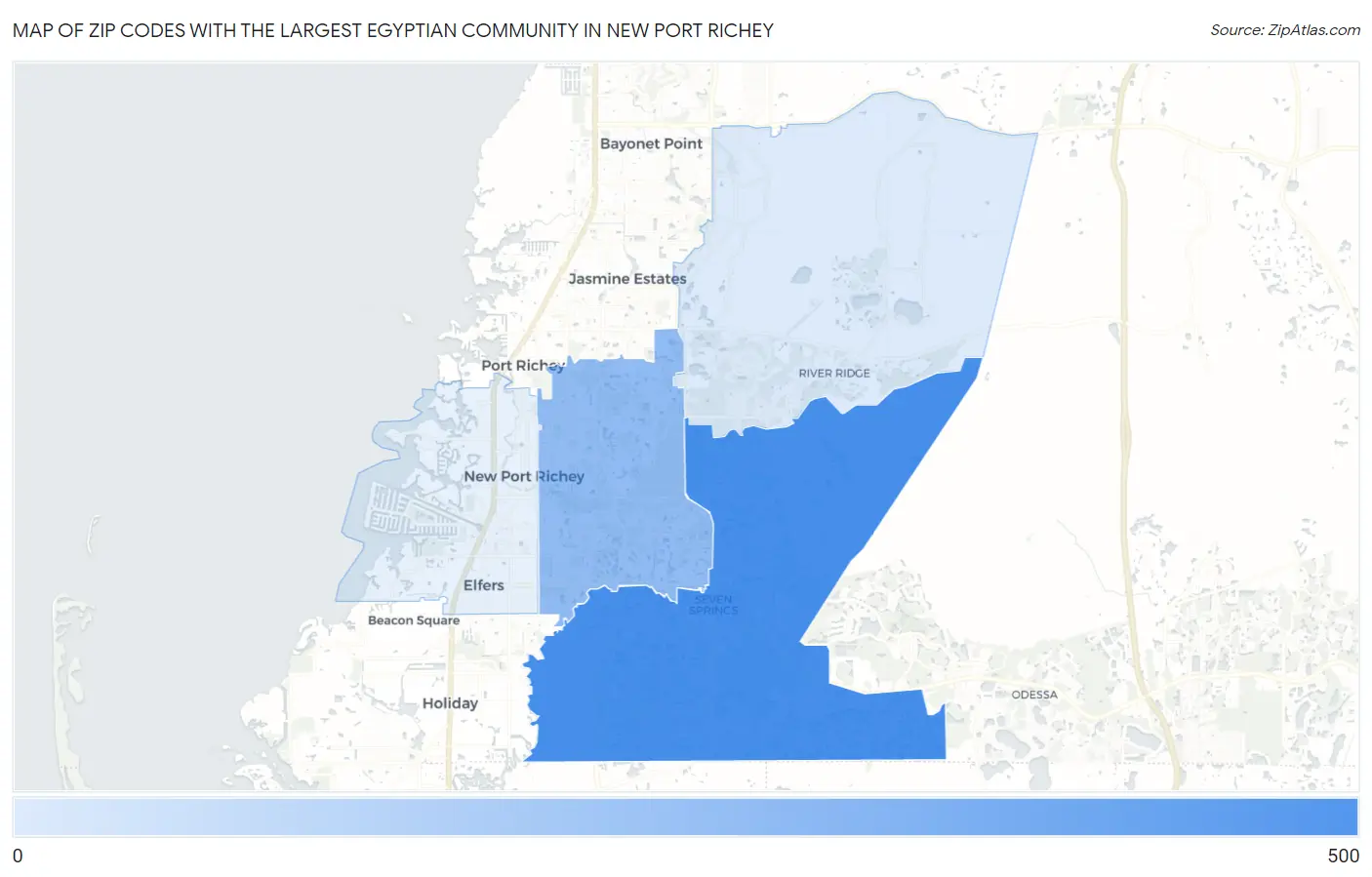 Zip Codes with the Largest Egyptian Community in New Port Richey Map