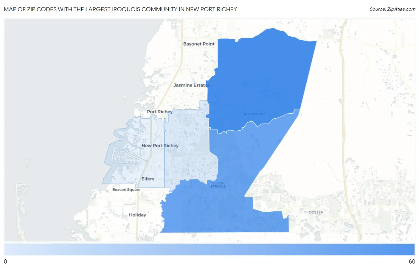 Zip Codes with the Largest Iroquois Community in New Port Richey Map