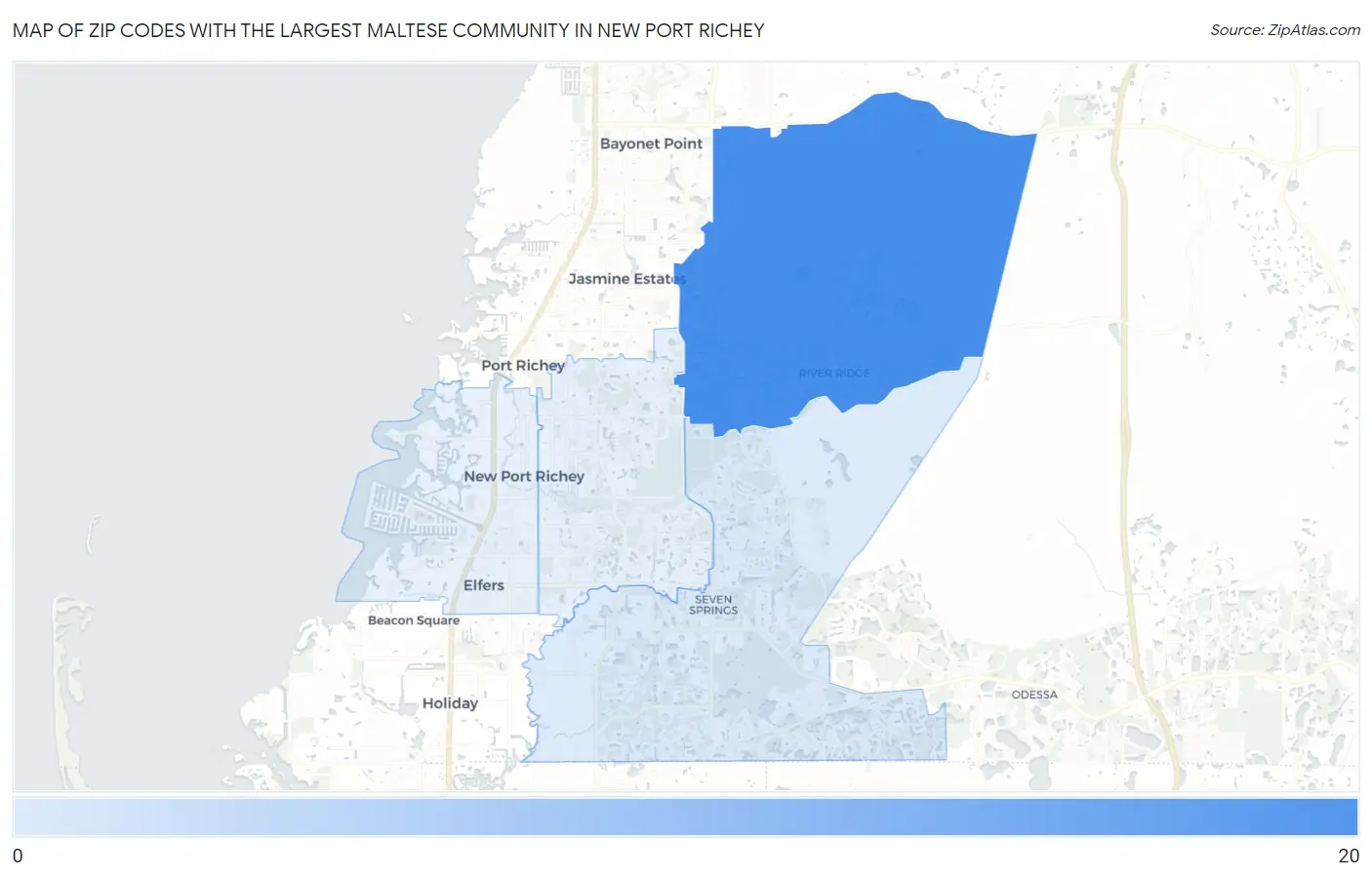 Zip Codes with the Largest Maltese Community in New Port Richey Map