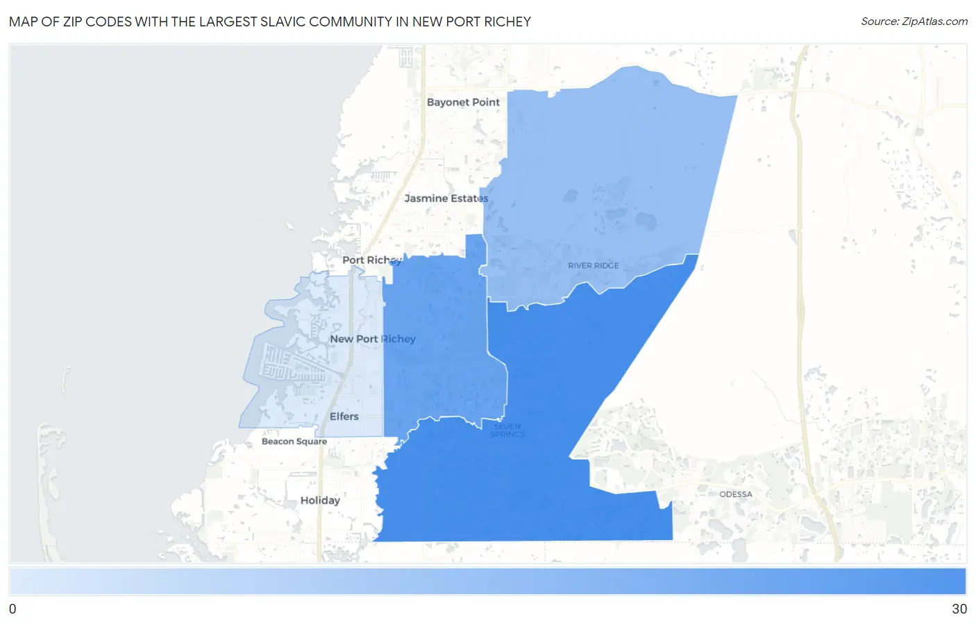 Zip Codes with the Largest Slavic Community in New Port Richey Map