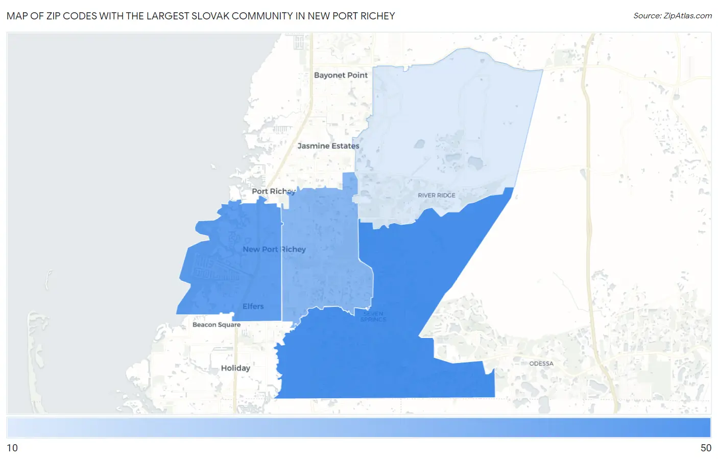 Zip Codes with the Largest Slovak Community in New Port Richey Map
