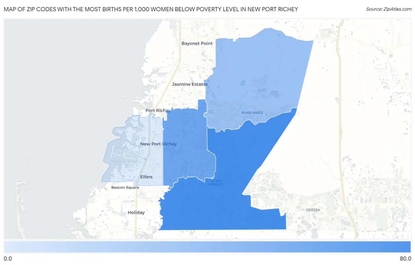 Zip Codes with the Most Births per 1,000 Women Below Poverty Level in New Port Richey Map