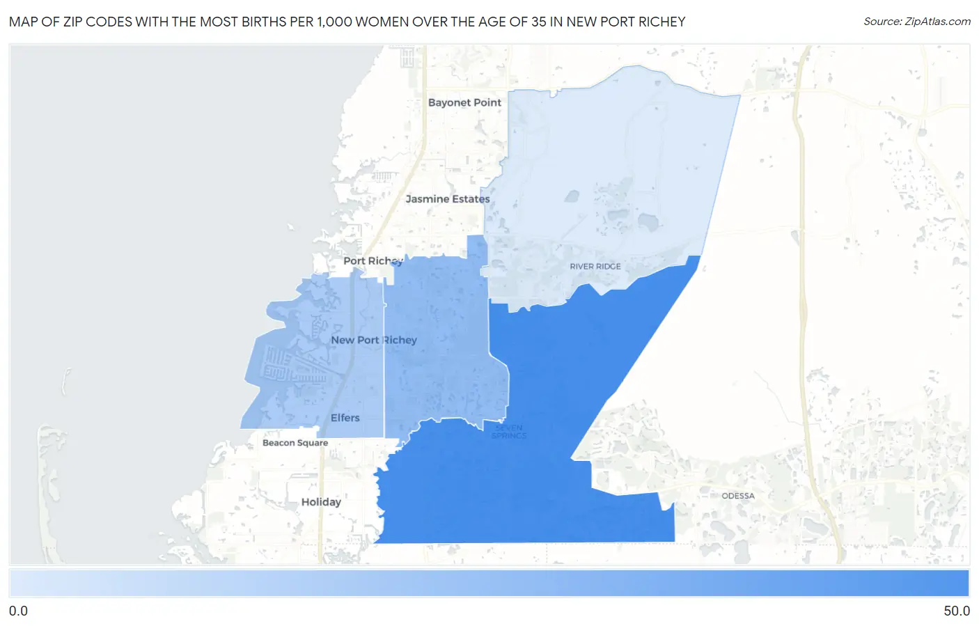 Zip Codes with the Most Births per 1,000 Women Over the Age of 35 in New Port Richey Map