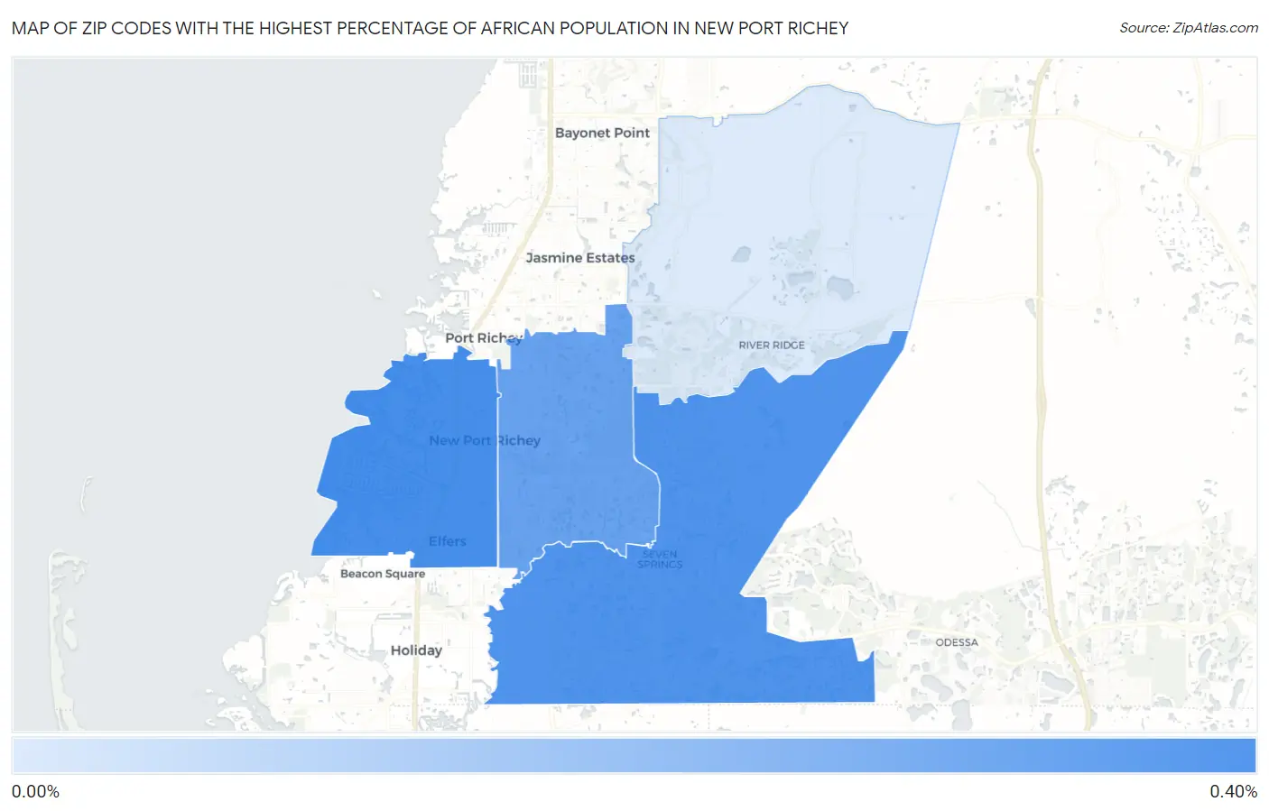 Zip Codes with the Highest Percentage of African Population in New Port Richey Map