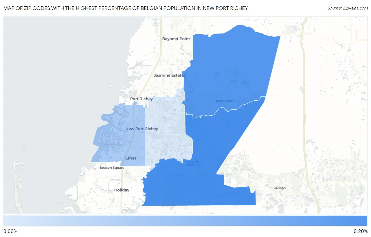 Zip Codes with the Highest Percentage of Belgian Population in New Port Richey Map