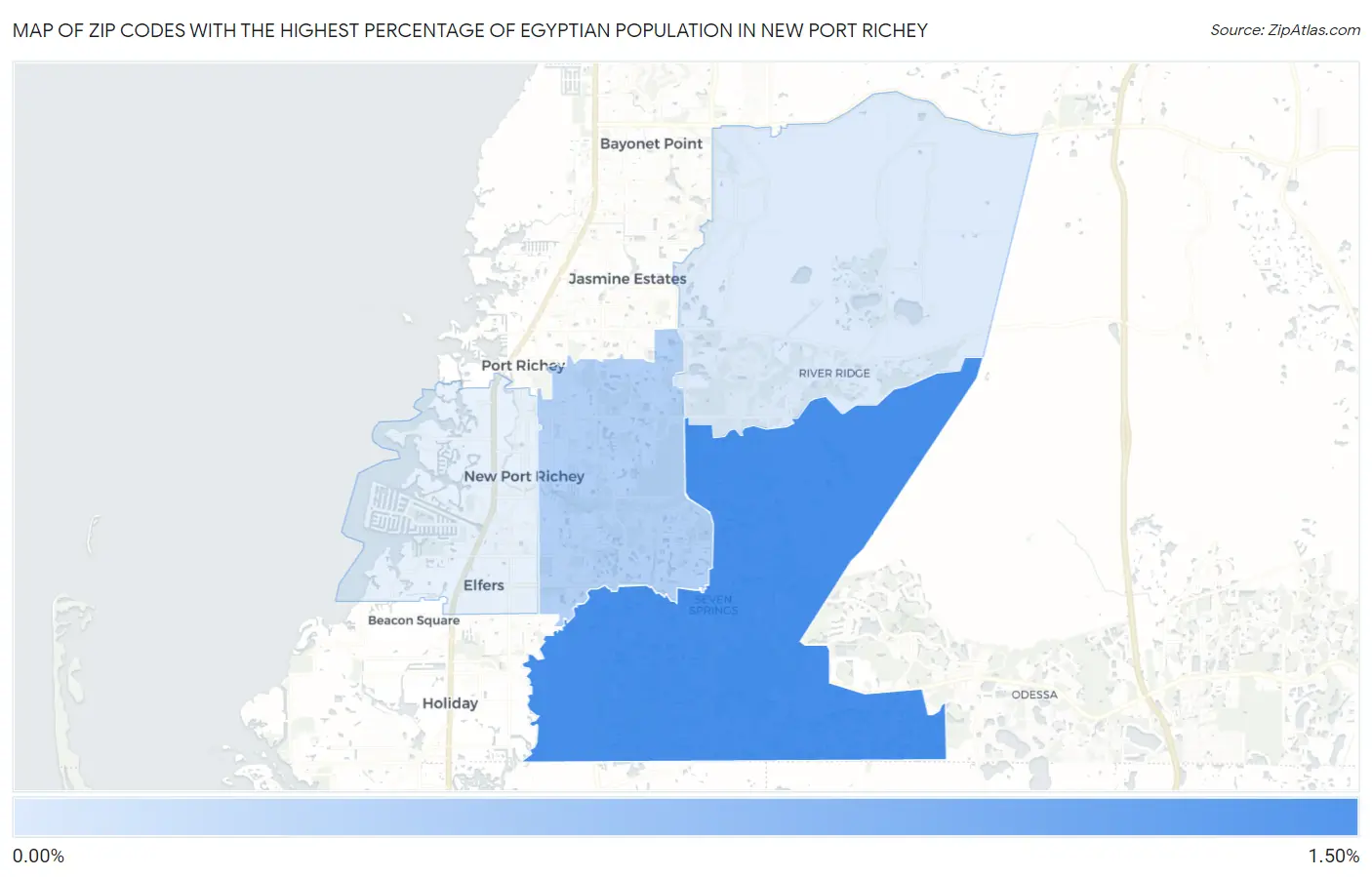 Zip Codes with the Highest Percentage of Egyptian Population in New Port Richey Map