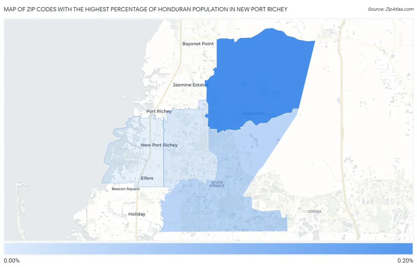 Zip Codes with the Highest Percentage of Honduran Population in New Port Richey Map