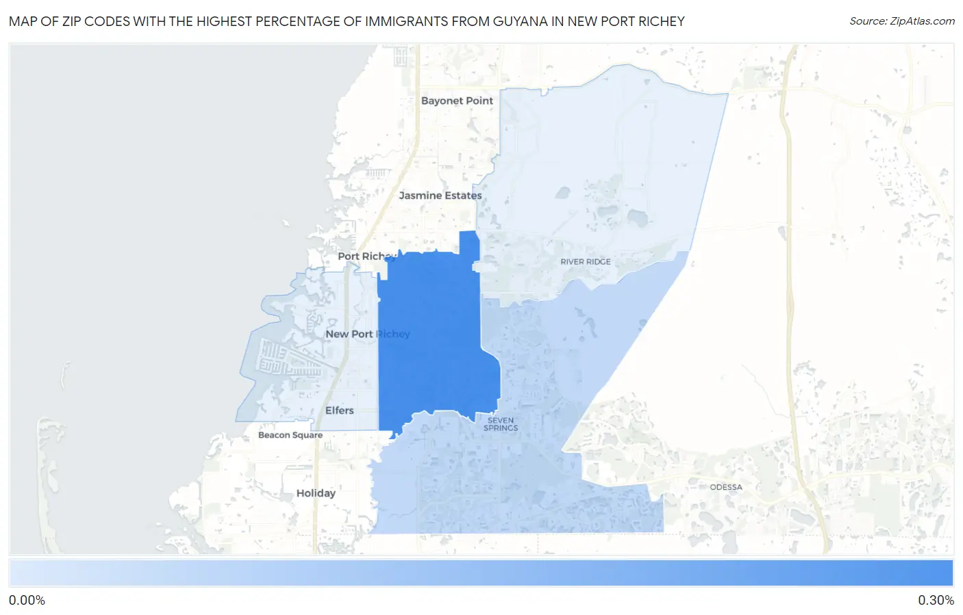 Zip Codes with the Highest Percentage of Immigrants from Guyana in New Port Richey Map