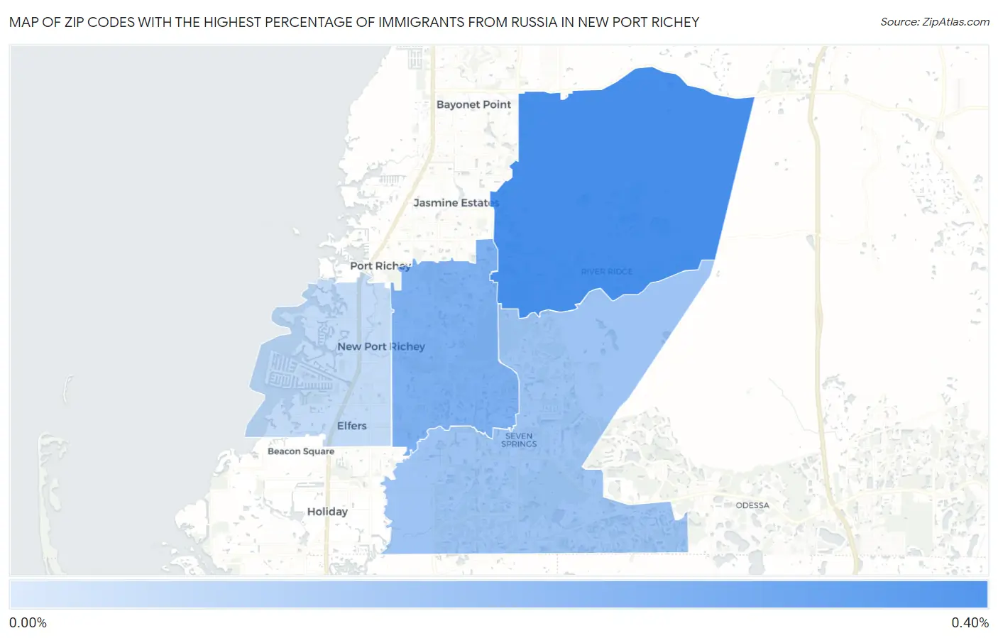 Zip Codes with the Highest Percentage of Immigrants from Russia in New Port Richey Map