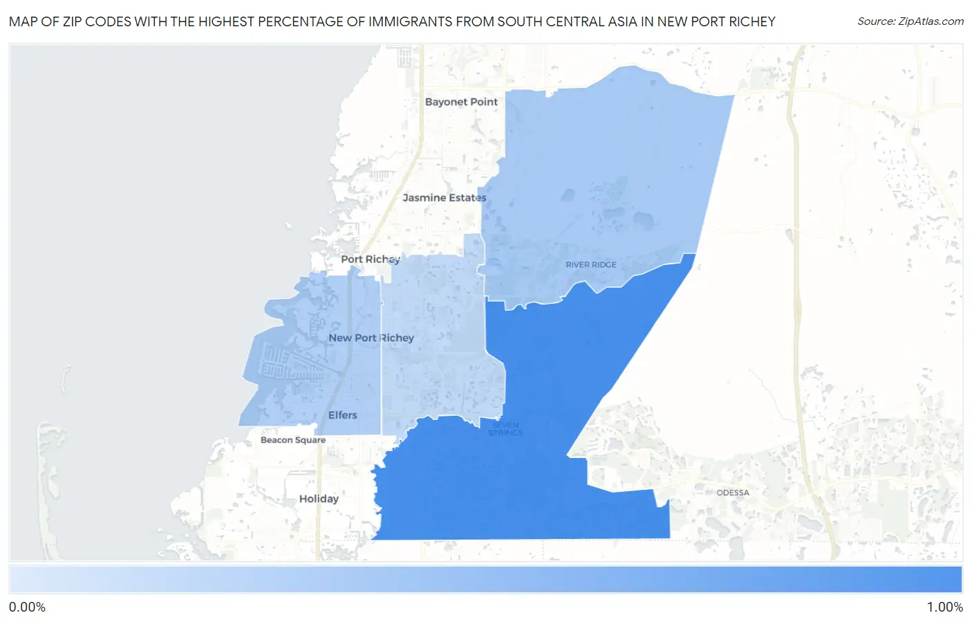 Zip Codes with the Highest Percentage of Immigrants from South Central Asia in New Port Richey Map