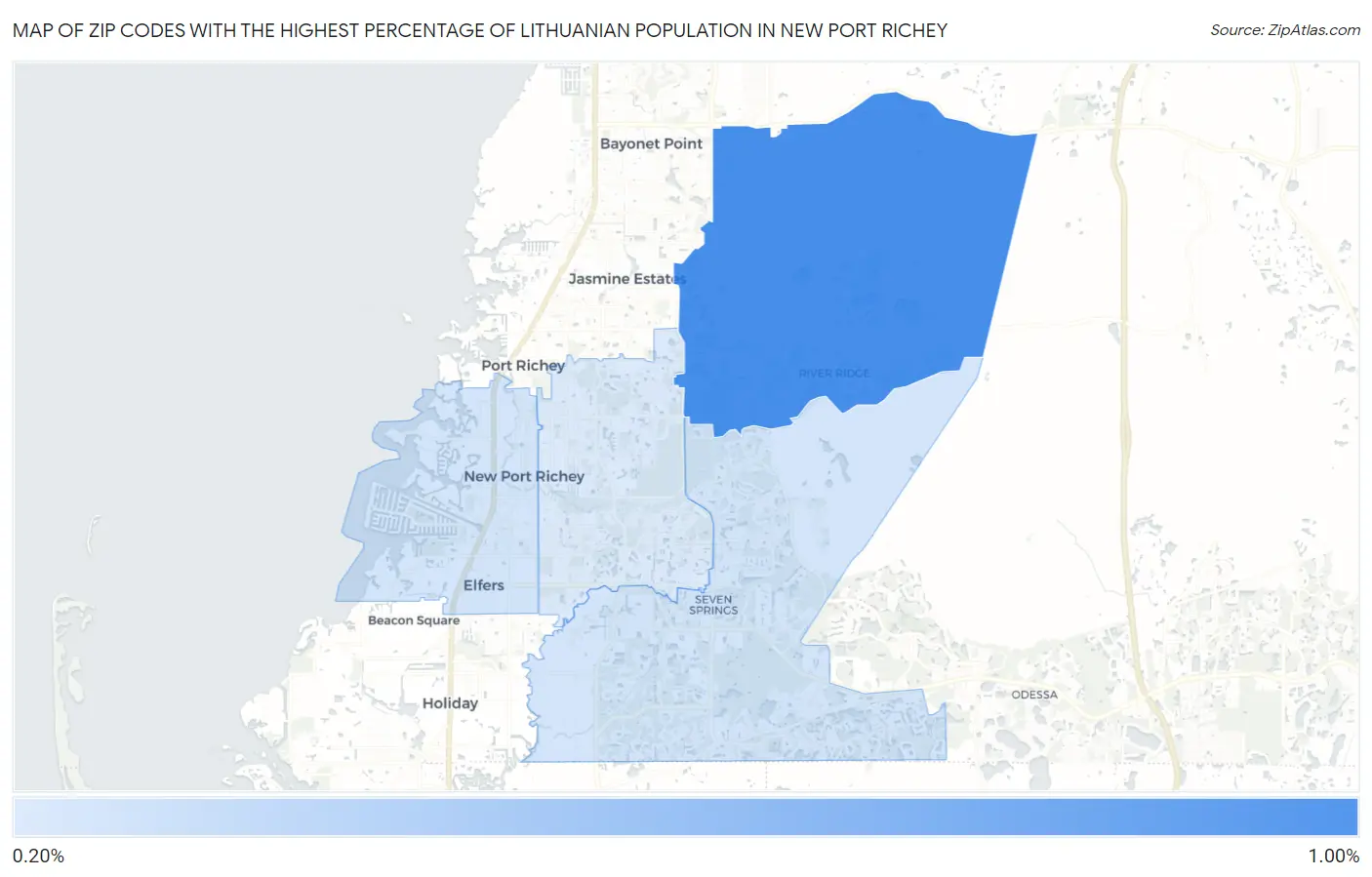 Zip Codes with the Highest Percentage of Lithuanian Population in New Port Richey Map