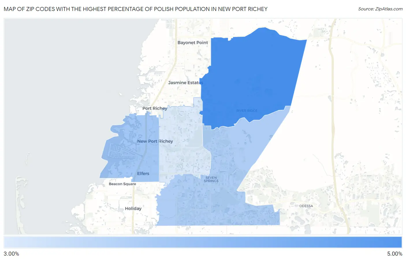 Zip Codes with the Highest Percentage of Polish Population in New Port Richey Map