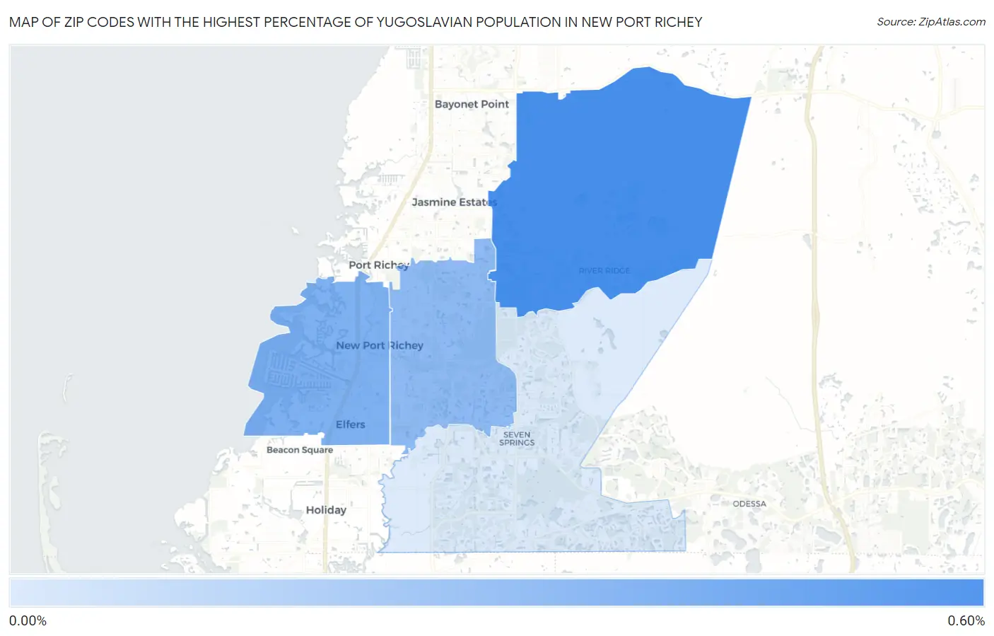 Zip Codes with the Highest Percentage of Yugoslavian Population in New Port Richey Map