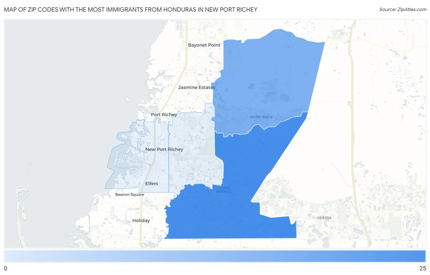Zip Codes with the Most Immigrants from Honduras in New Port Richey Map
