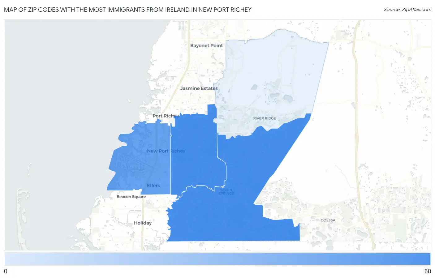 Zip Codes with the Most Immigrants from Ireland in New Port Richey Map