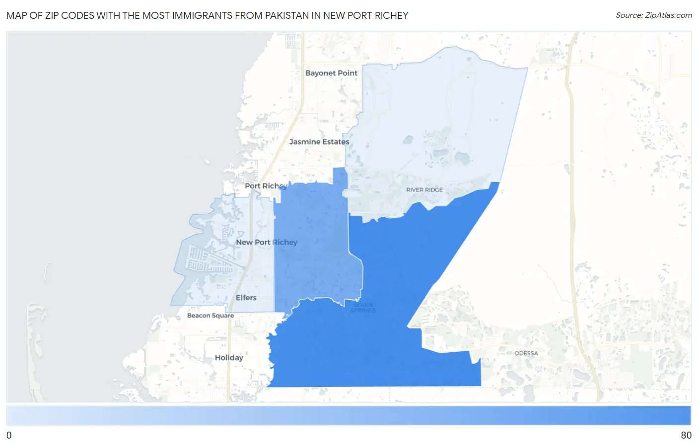 Zip Codes with the Most Immigrants from Pakistan in New Port Richey Map