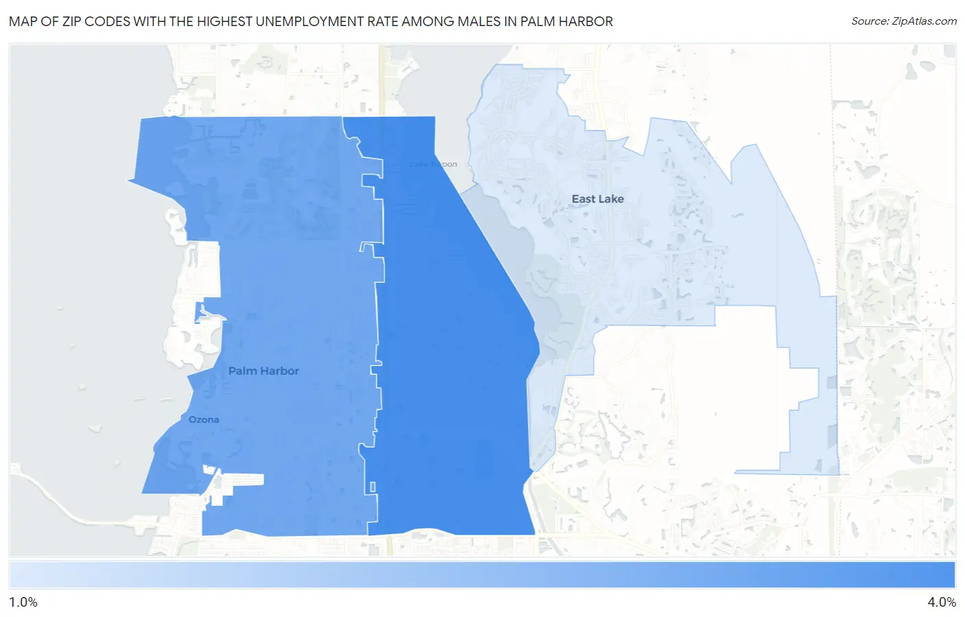 Zip Codes with the Highest Unemployment Rate Among Males in Palm Harbor Map