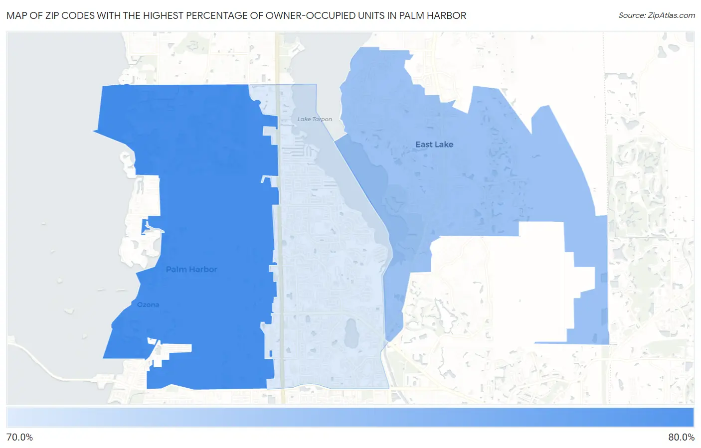 Zip Codes with the Highest Percentage of Owner-Occupied Units in Palm Harbor Map