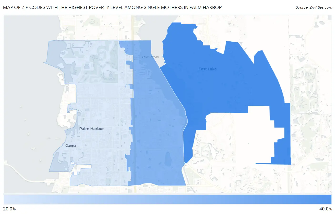 Zip Codes with the Highest Poverty Level Among Single Mothers in Palm Harbor Map