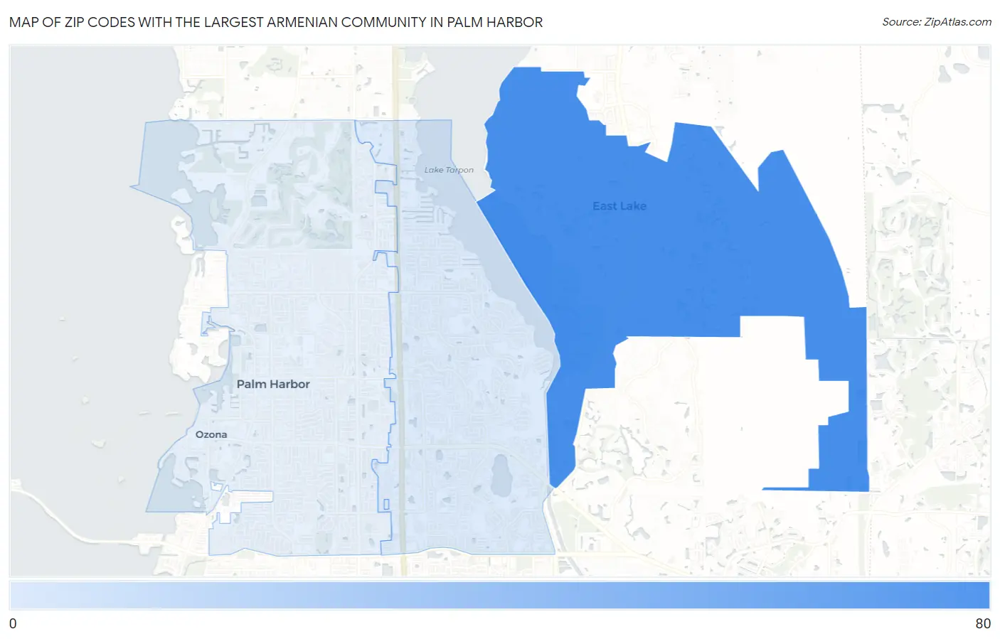 Zip Codes with the Largest Armenian Community in Palm Harbor Map