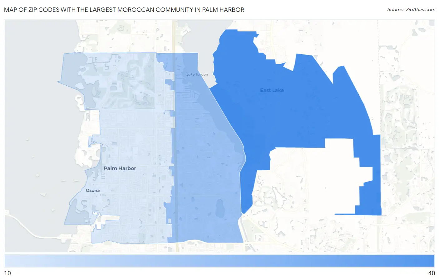 Zip Codes with the Largest Moroccan Community in Palm Harbor Map