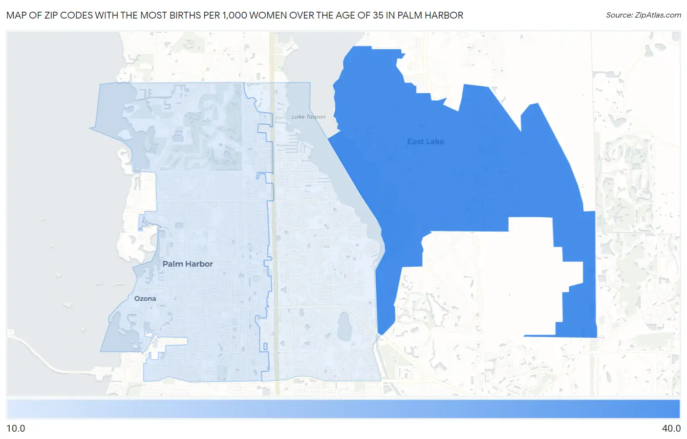 Zip Codes with the Most Births per 1,000 Women Over the Age of 35 in Palm Harbor Map