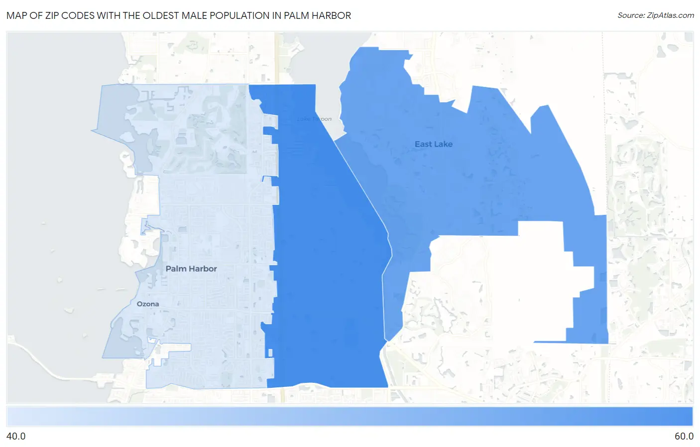 Zip Codes with the Oldest Male Population in Palm Harbor Map