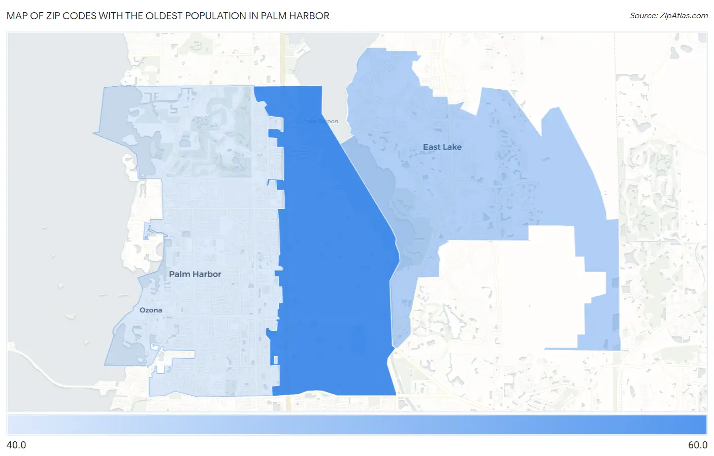 Zip Codes with the Oldest Population in Palm Harbor Map