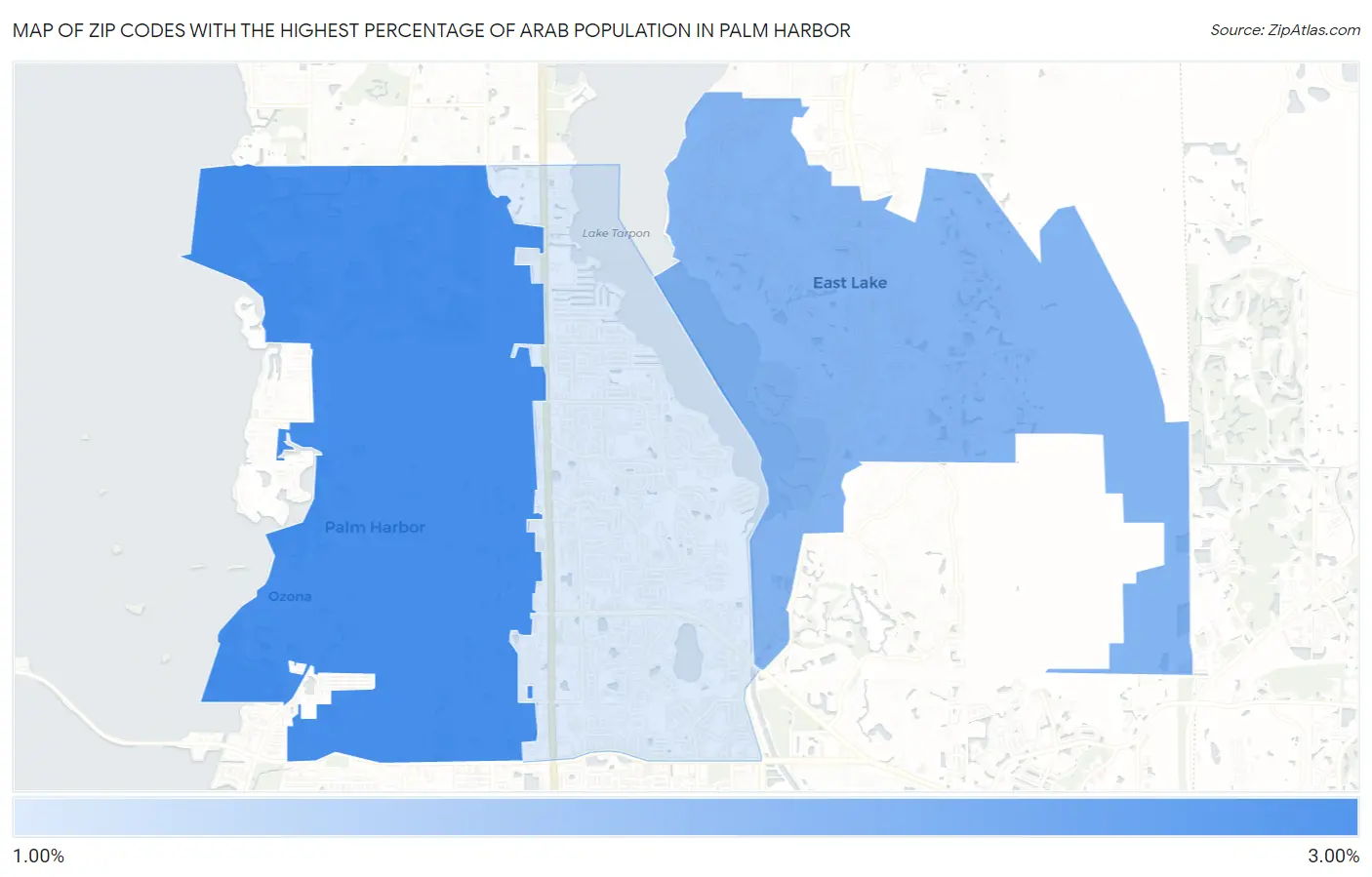 Zip Codes with the Highest Percentage of Arab Population in Palm Harbor Map