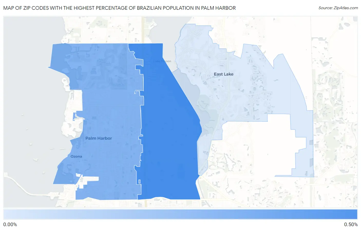 Zip Codes with the Highest Percentage of Brazilian Population in Palm Harbor Map