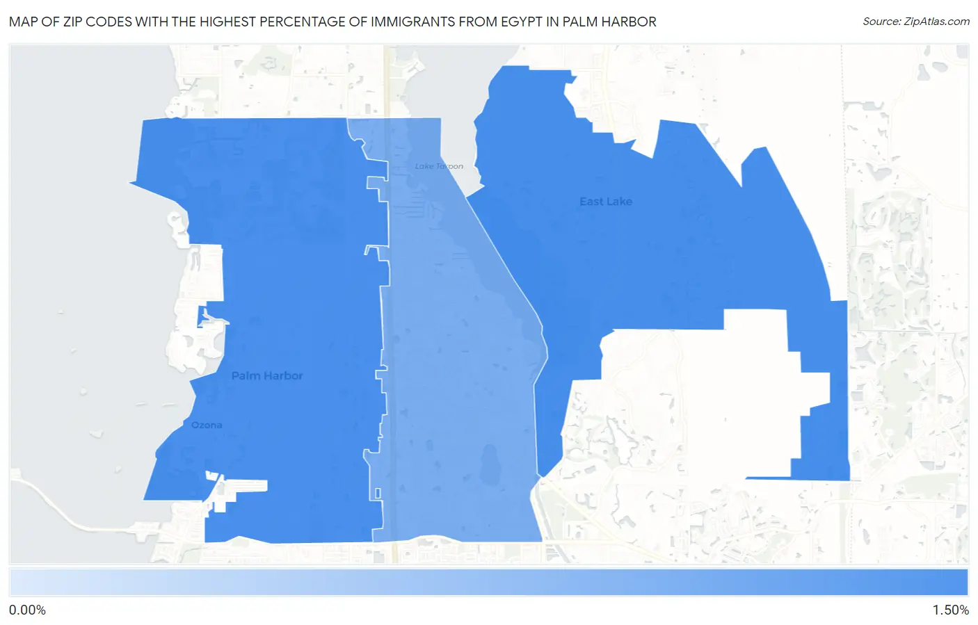 Zip Codes with the Highest Percentage of Immigrants from Egypt in Palm Harbor Map