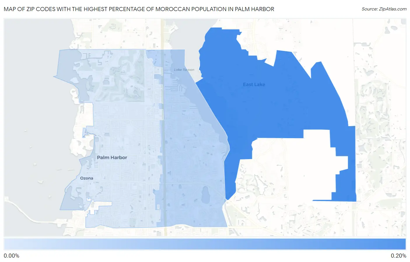 Zip Codes with the Highest Percentage of Moroccan Population in Palm Harbor Map